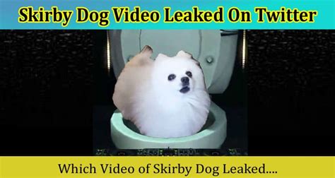 skirby dog video reddit|Skirby Dog Video Full on Reddit, Twitter, and Tiktok